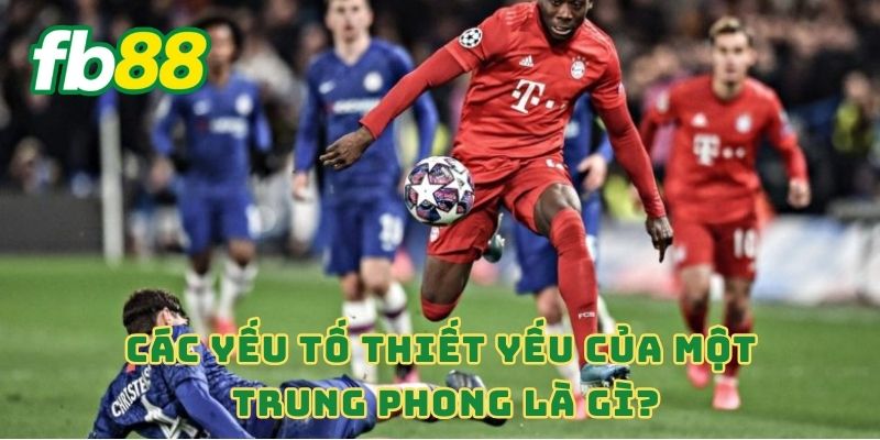 Trung Phong Trong Bóng Đá Nghĩa Là Gì? Cập Nhật Luật Bóng Đá 3 Các yếu tố thiết yếu của một Trung phong là gì?
