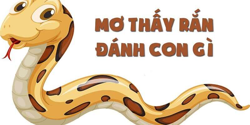 Nằm mơ thấy rắn đánh con gì? Giải mã & Số may mắn 1 Nằm mơ thấy rắn đánh con gì