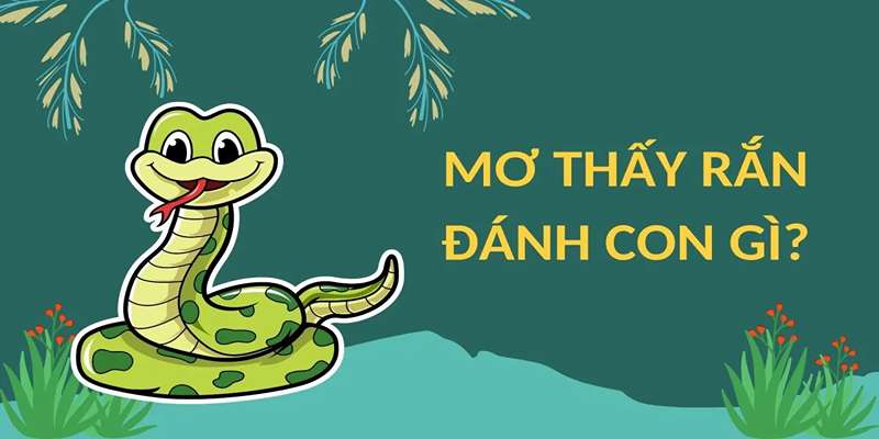 Nằm mơ thấy rắn đánh con gì? Giải mã & Số may mắn 2 Nằm mơ thấy rắn đánh con gì